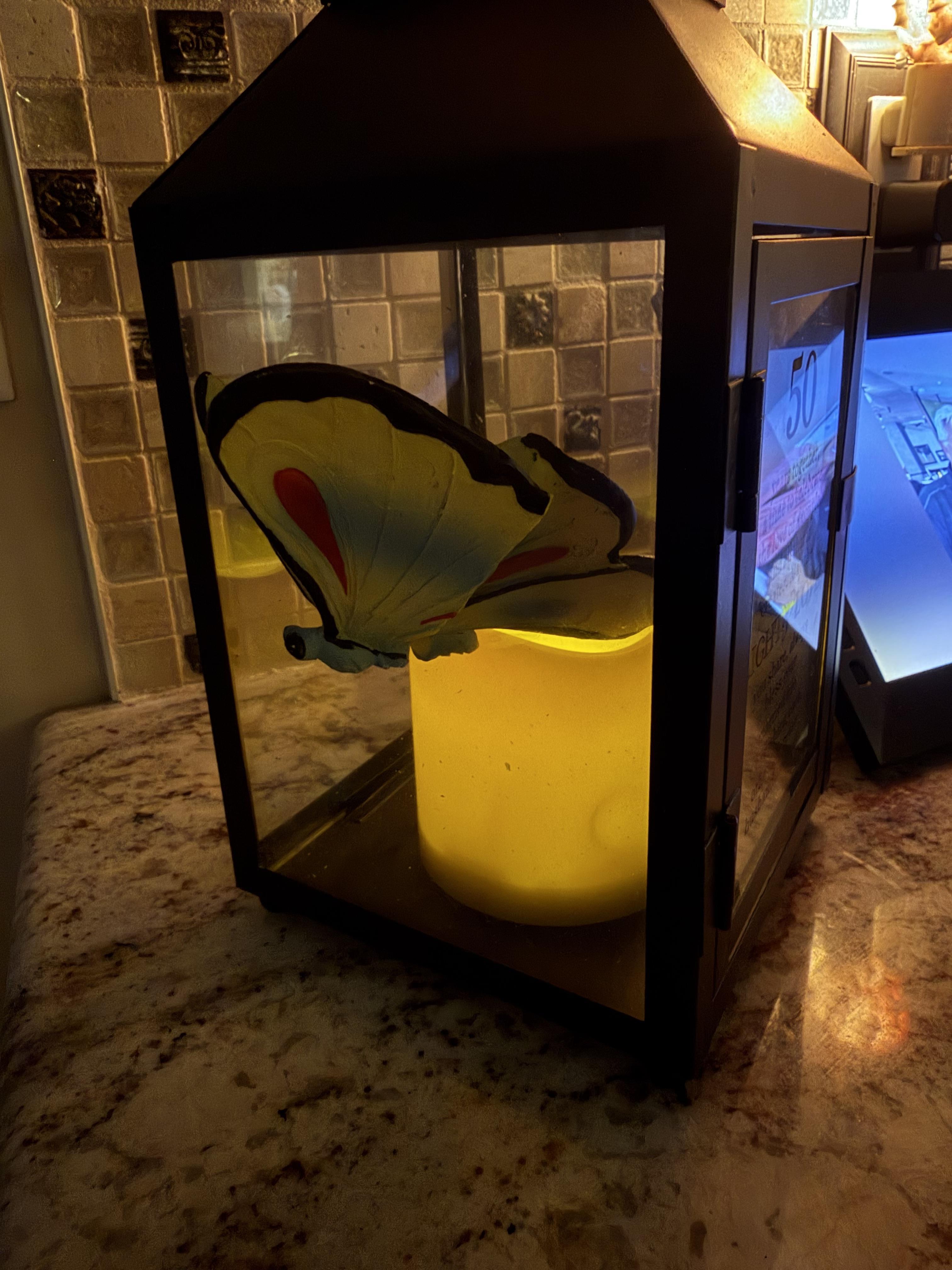 A butterfly in a lantern