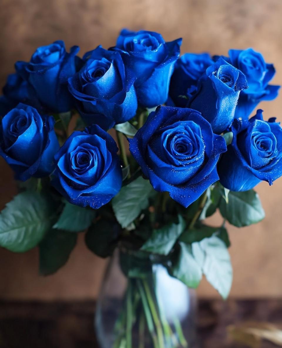 A bouquet of blue roses