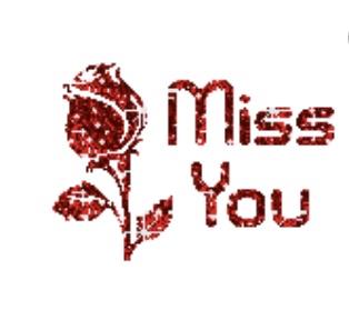 A red rose with text