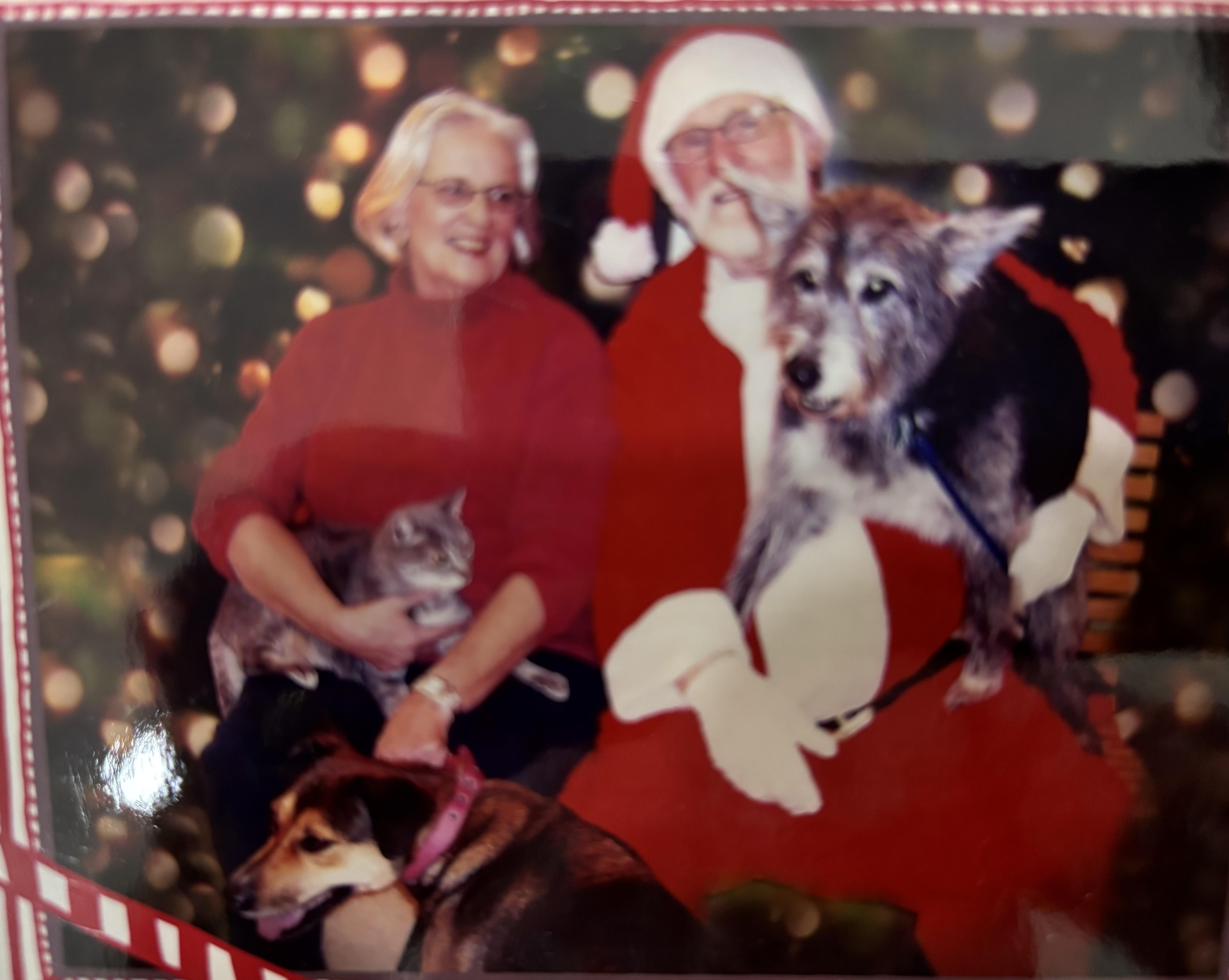 A man and woman in santa outfits holding dogs and a cat