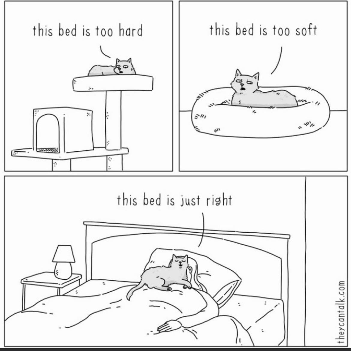 A comic strip of a cat lying on a bed