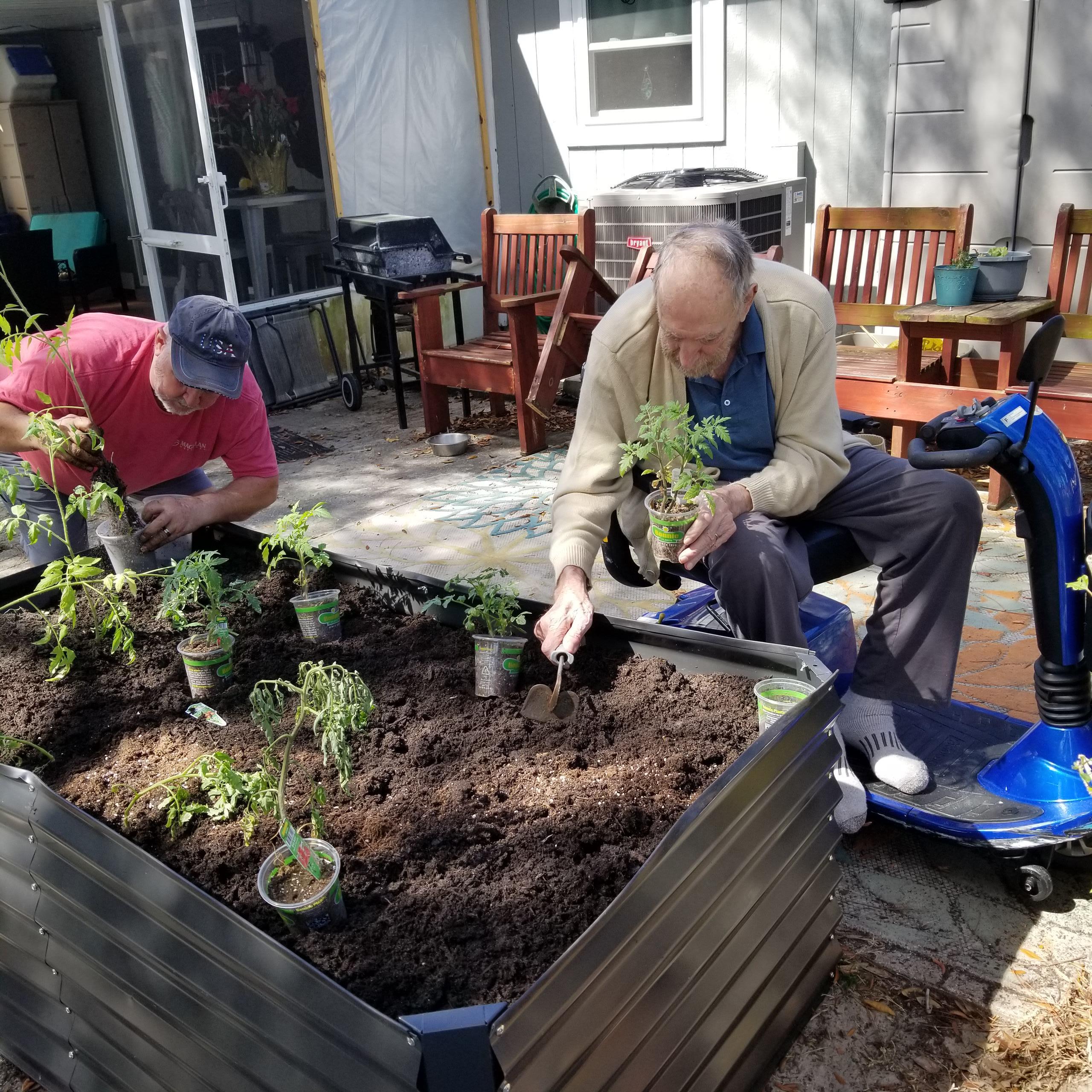 Two men planting plants in a garden