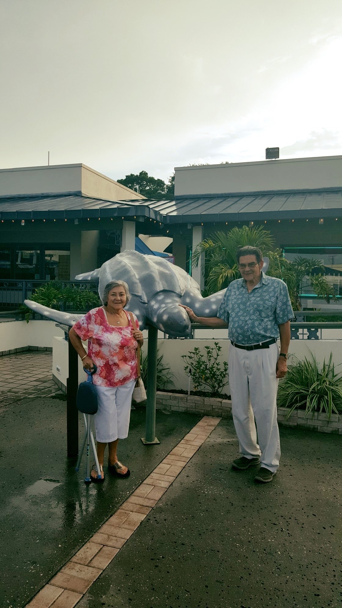 A man and woman standing next to a statue of a turtle