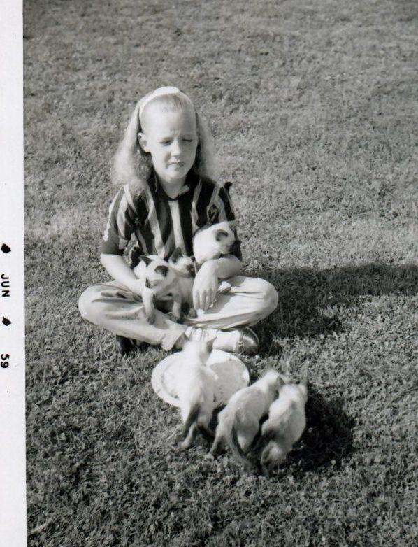 A girl sitting on grass with kittens