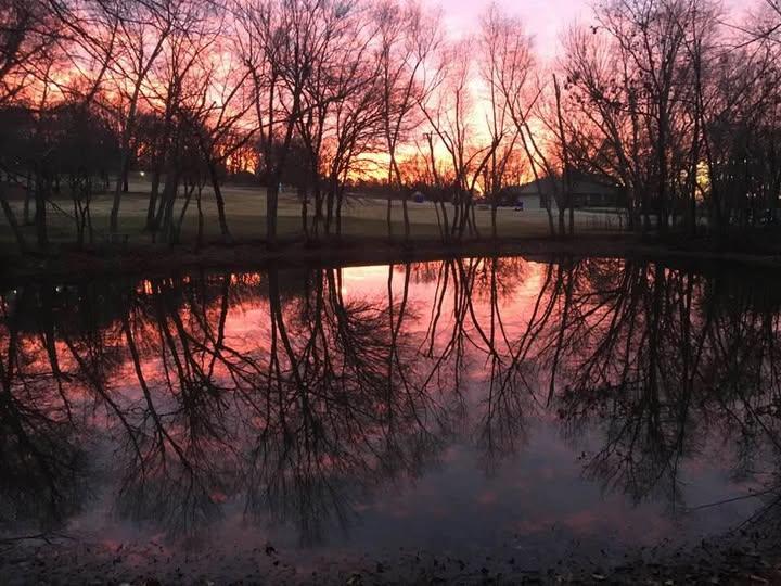 A body of water with trees in the background