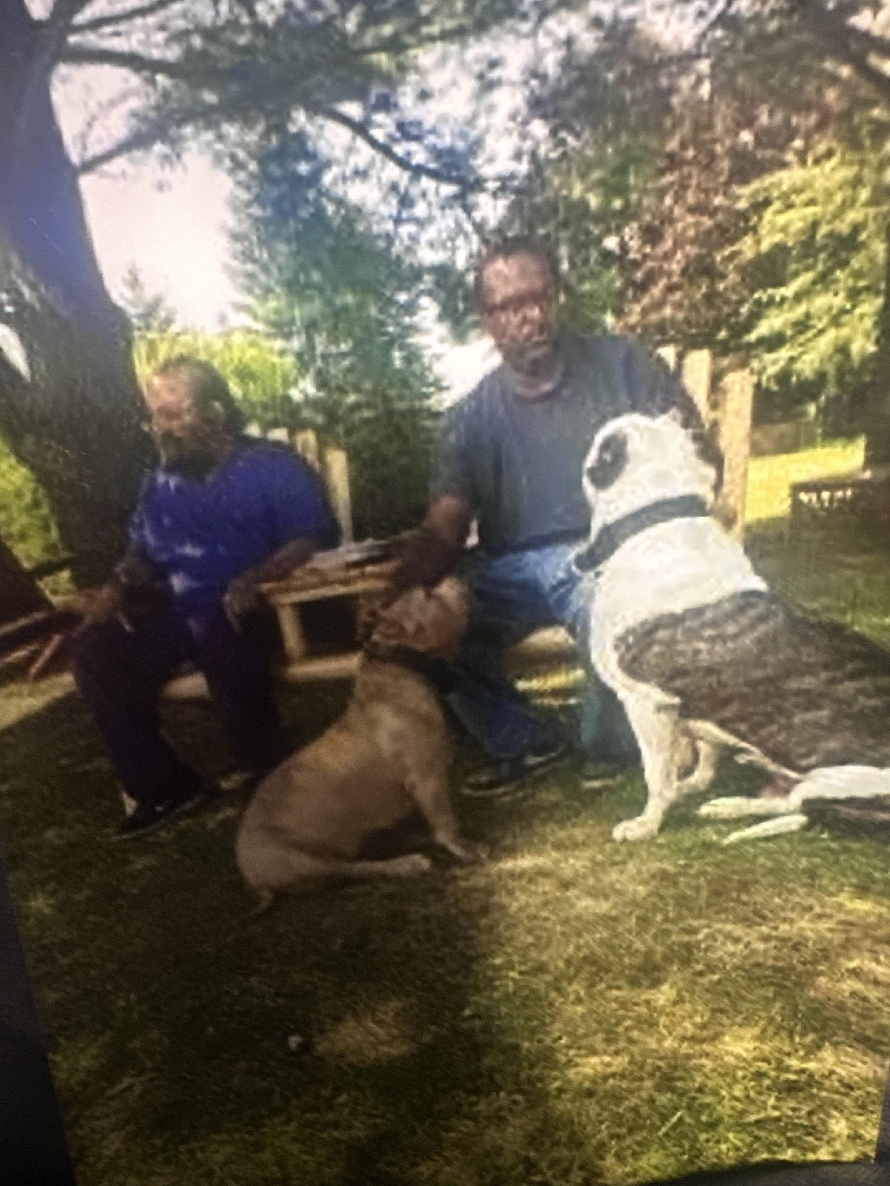 A group of men sitting on a bench with dogs