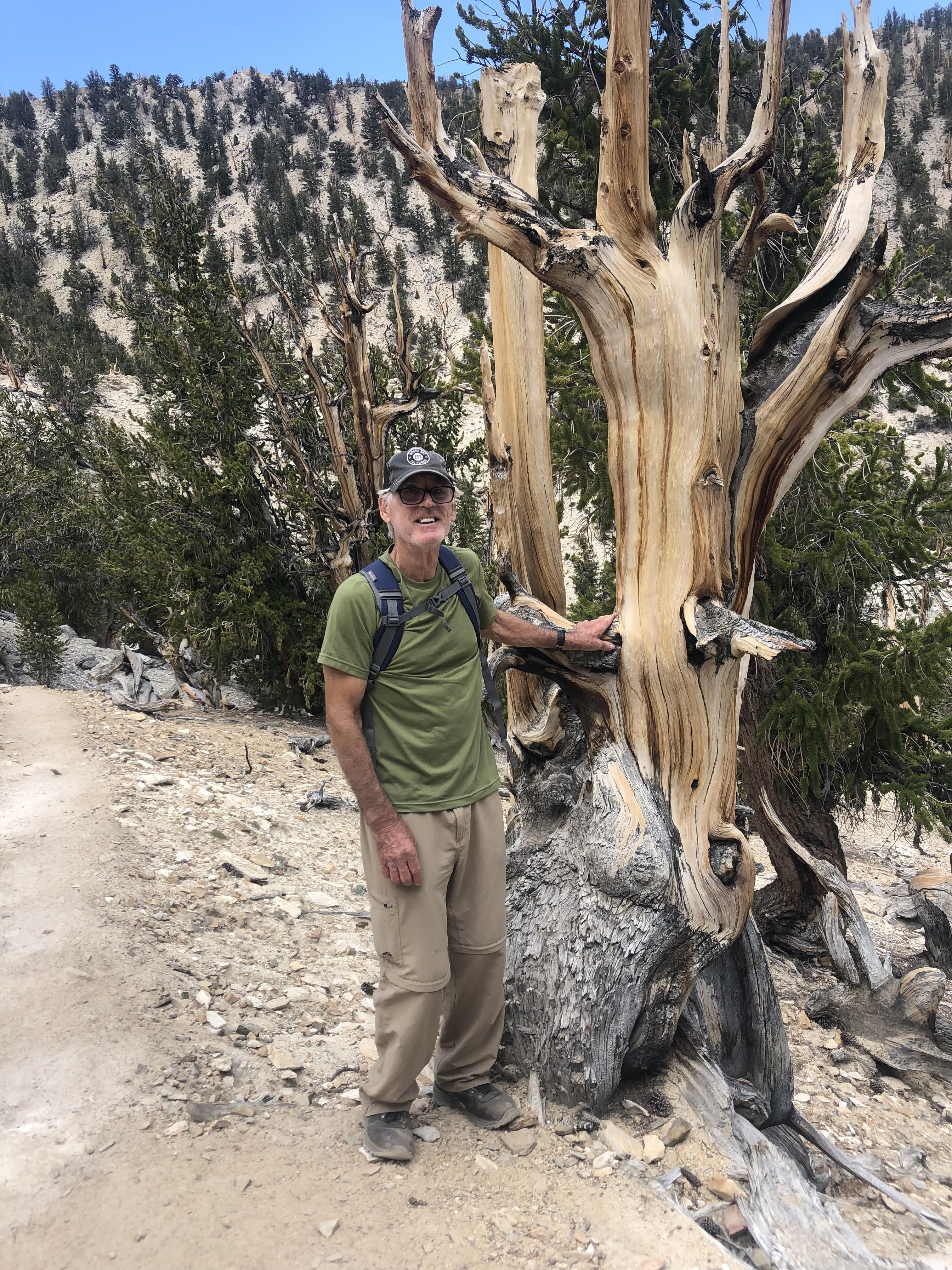 A man standing next to a tree