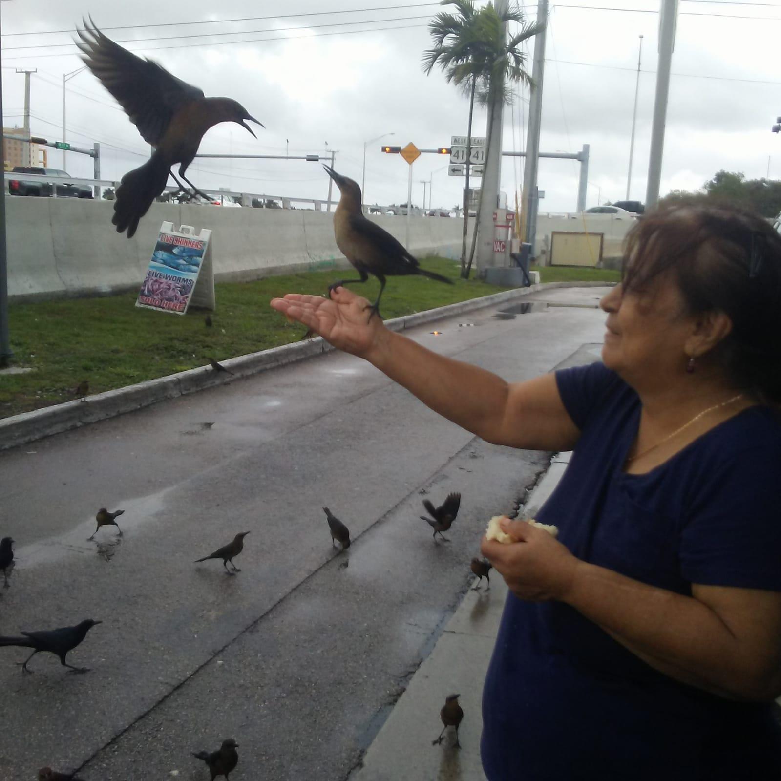 A woman feeding birds on a hand