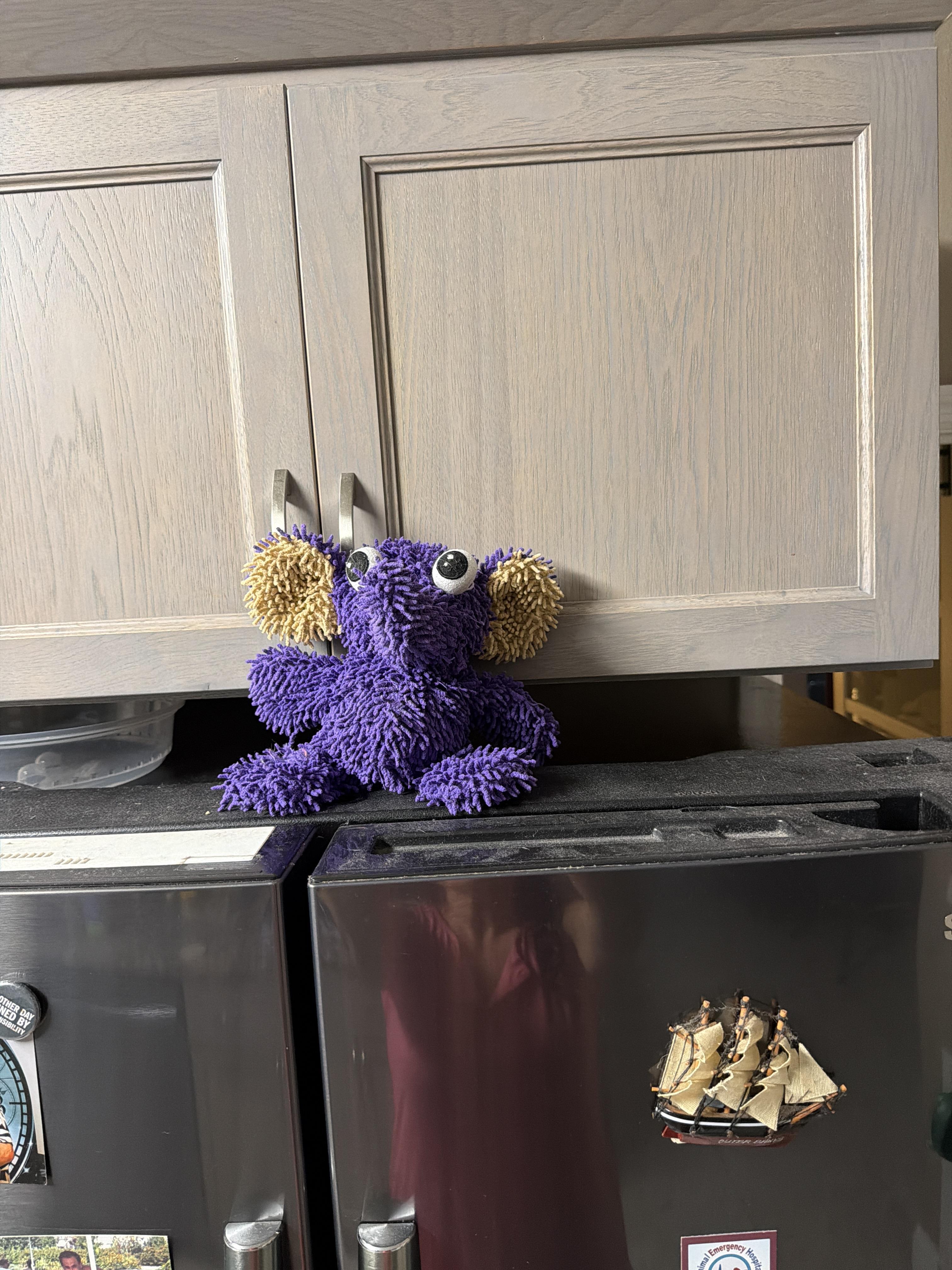 A purple stuffed animal on top of a microwave