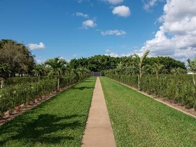 Gardens of Shalom & Elijah Phase II 