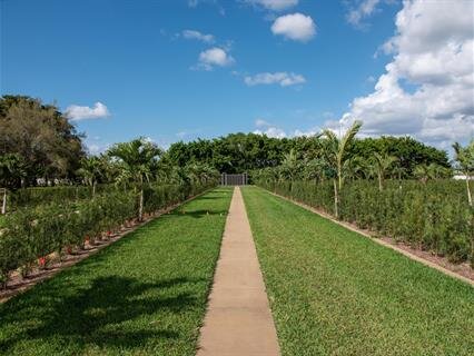 Gardens of Shalom & Elijah Phase II 
