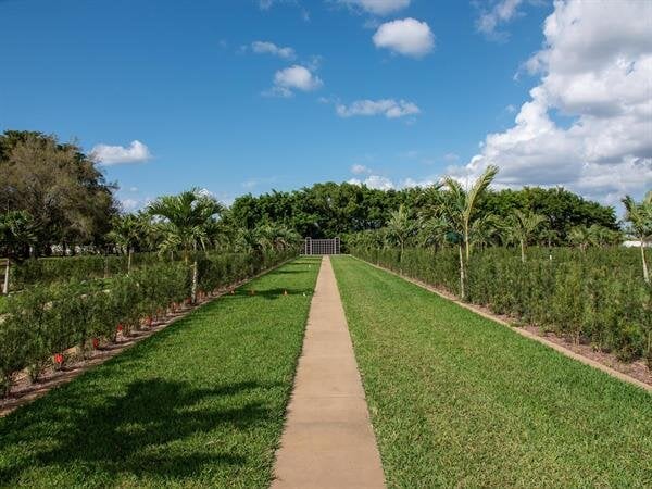 Gardens of Shalom & Elijah Phase II