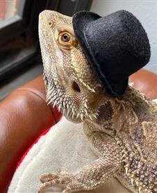 Cornelius Socrates Cravensworth