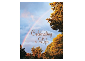 Rainbow Through Fall Trees