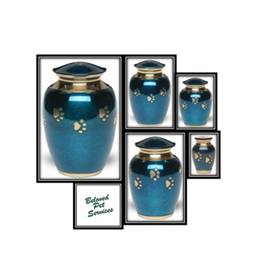 Blue with Gold Color Pawprints