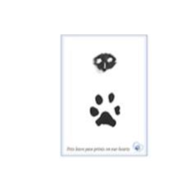 Ink Paw and Nose Print - Cardstock Ink Paw and Nose Print - Cardstock