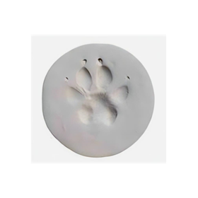 Pet Paw Prints