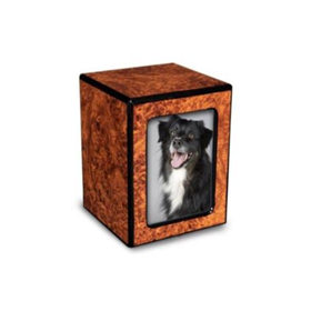 Chateau Photo Urn - Burl Chateau Photo Urn - Burl