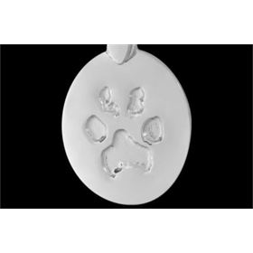 Small Silver Pendent Small Silver Pendent