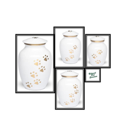 White with Gold Color Pawprints