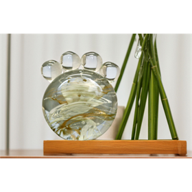 LifeSong Glass Pawprint with Ashes LifeSong Glass Pawprint with Ashes