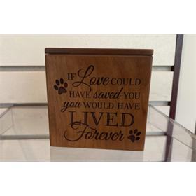 If Love Could Have... If Love Could Have...