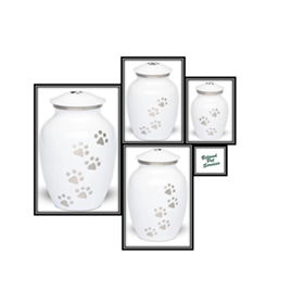 White with Silver Color Pawprints