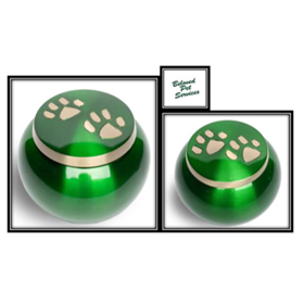 Green with Gold color Paws