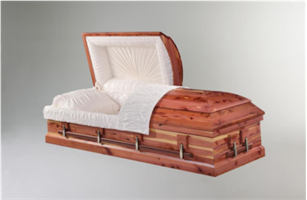 Cedar Cedar