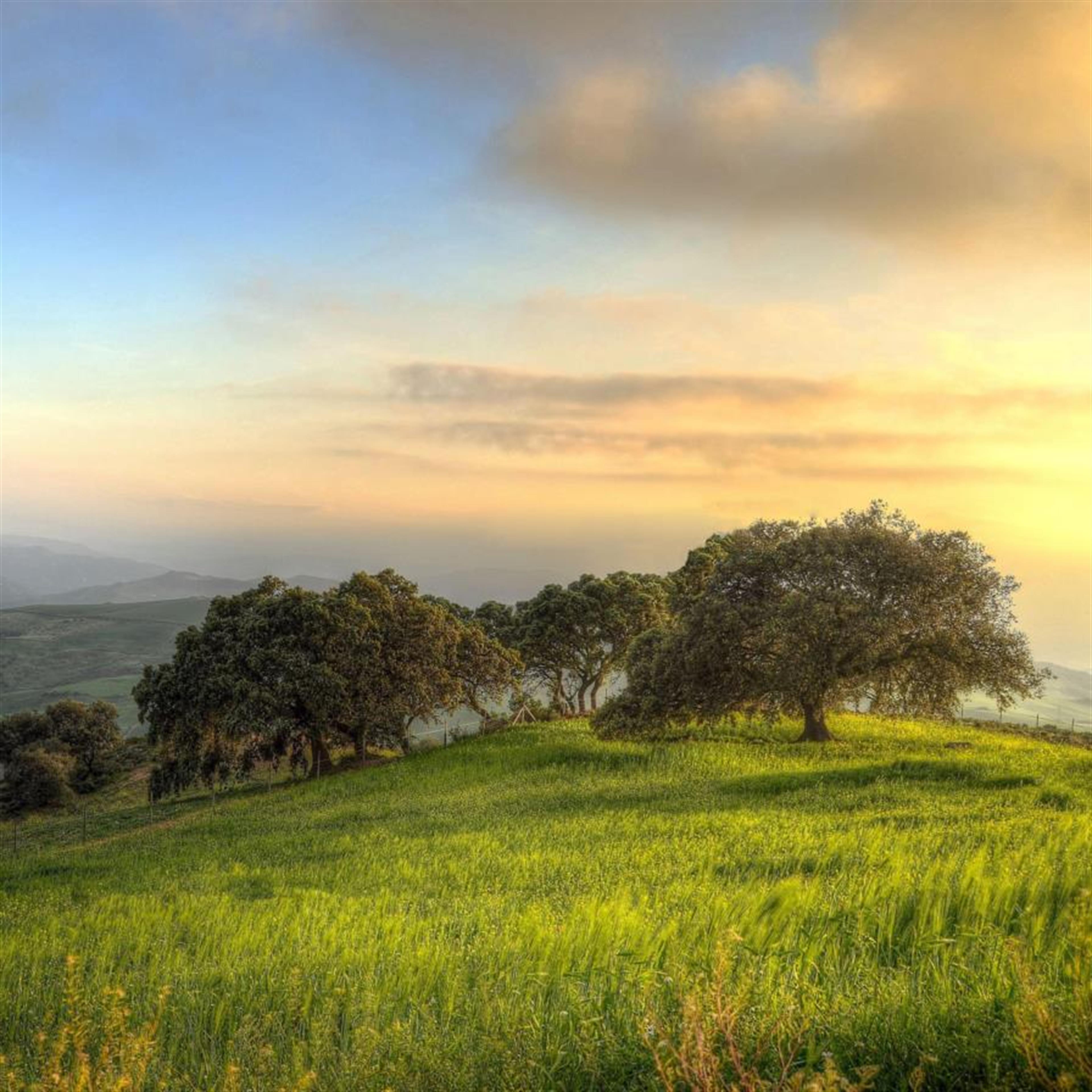 Nicholas S. Atteridge