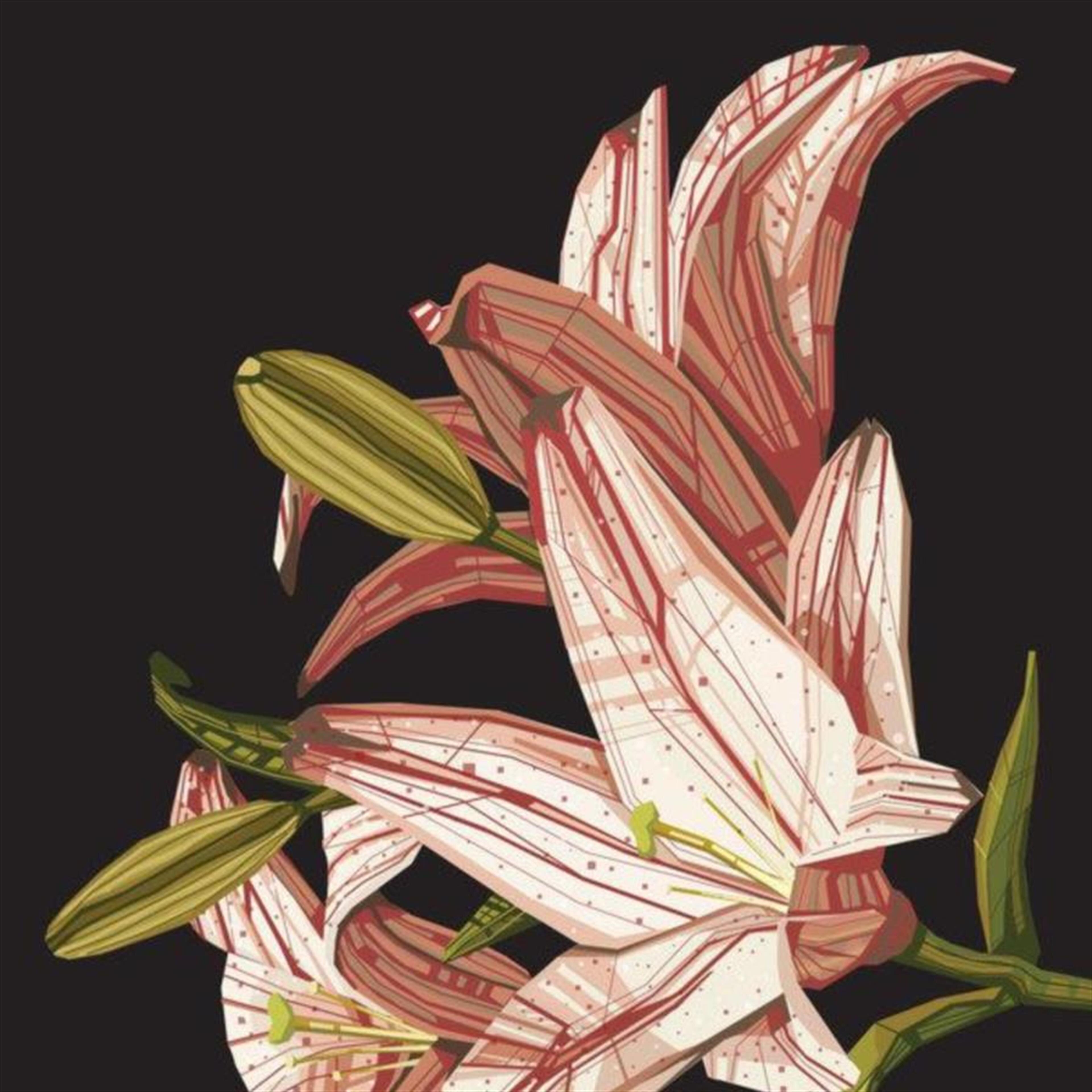 Barbara S. Broadwater