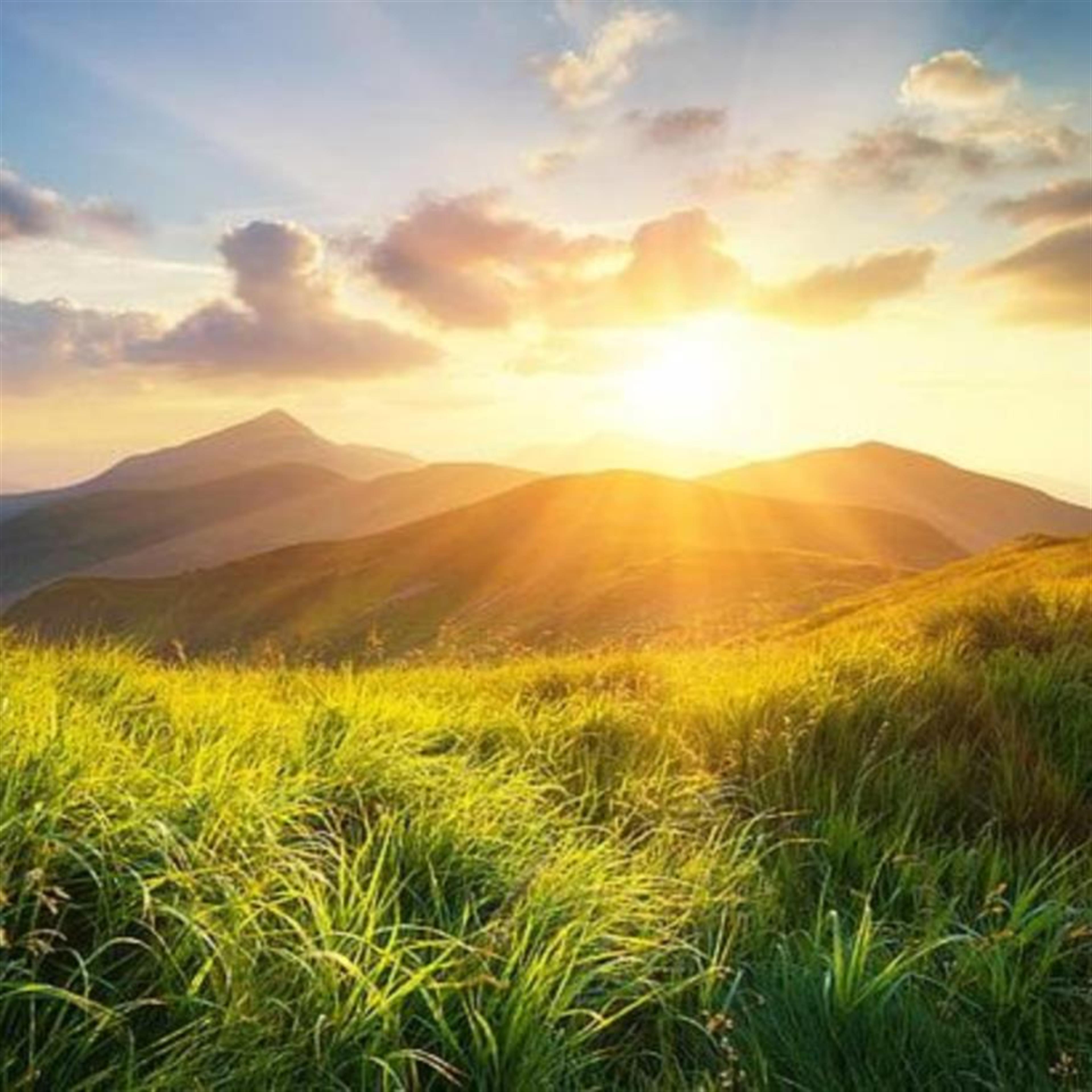 Emelia - Nieto Magana