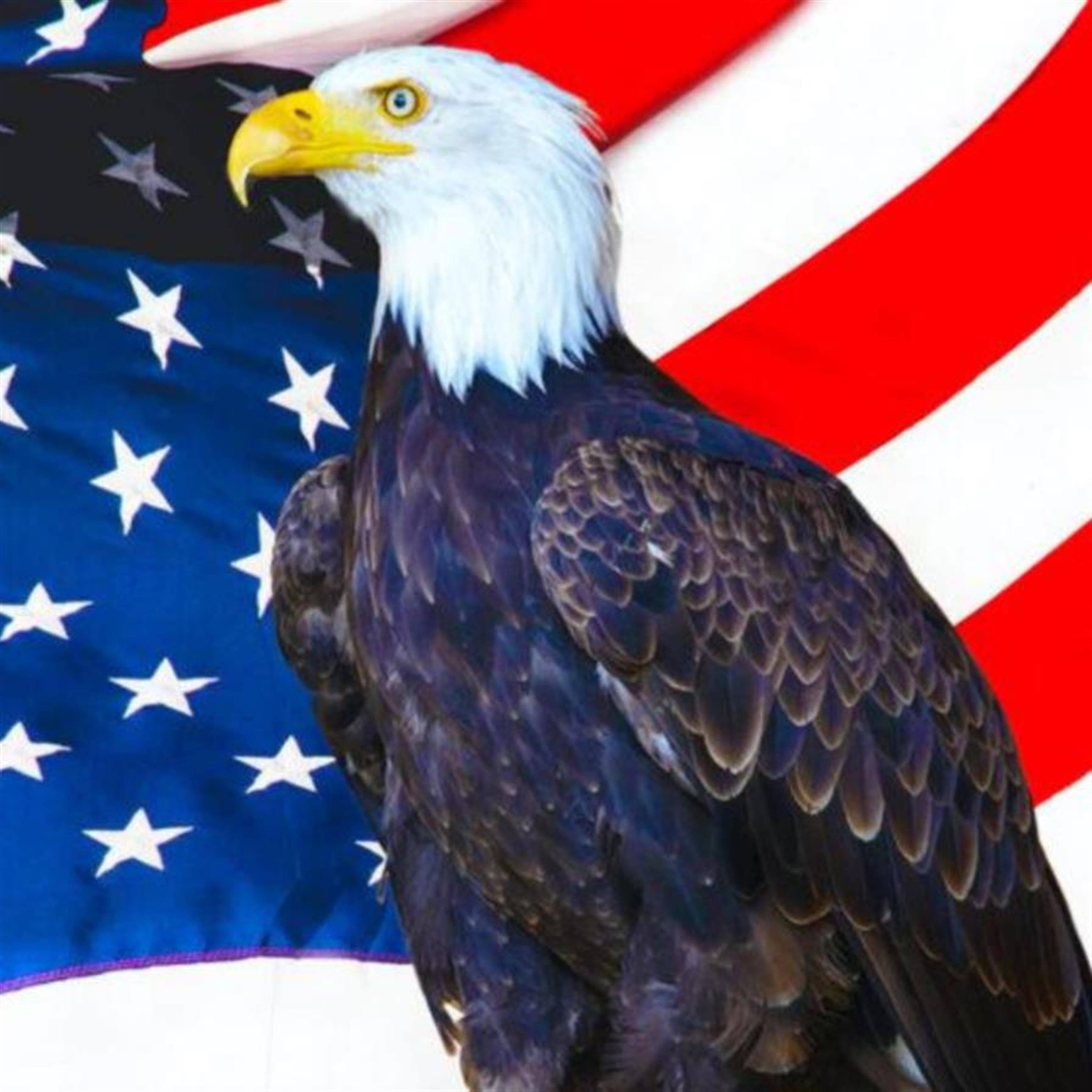 Darwin Josue Soto Paredes