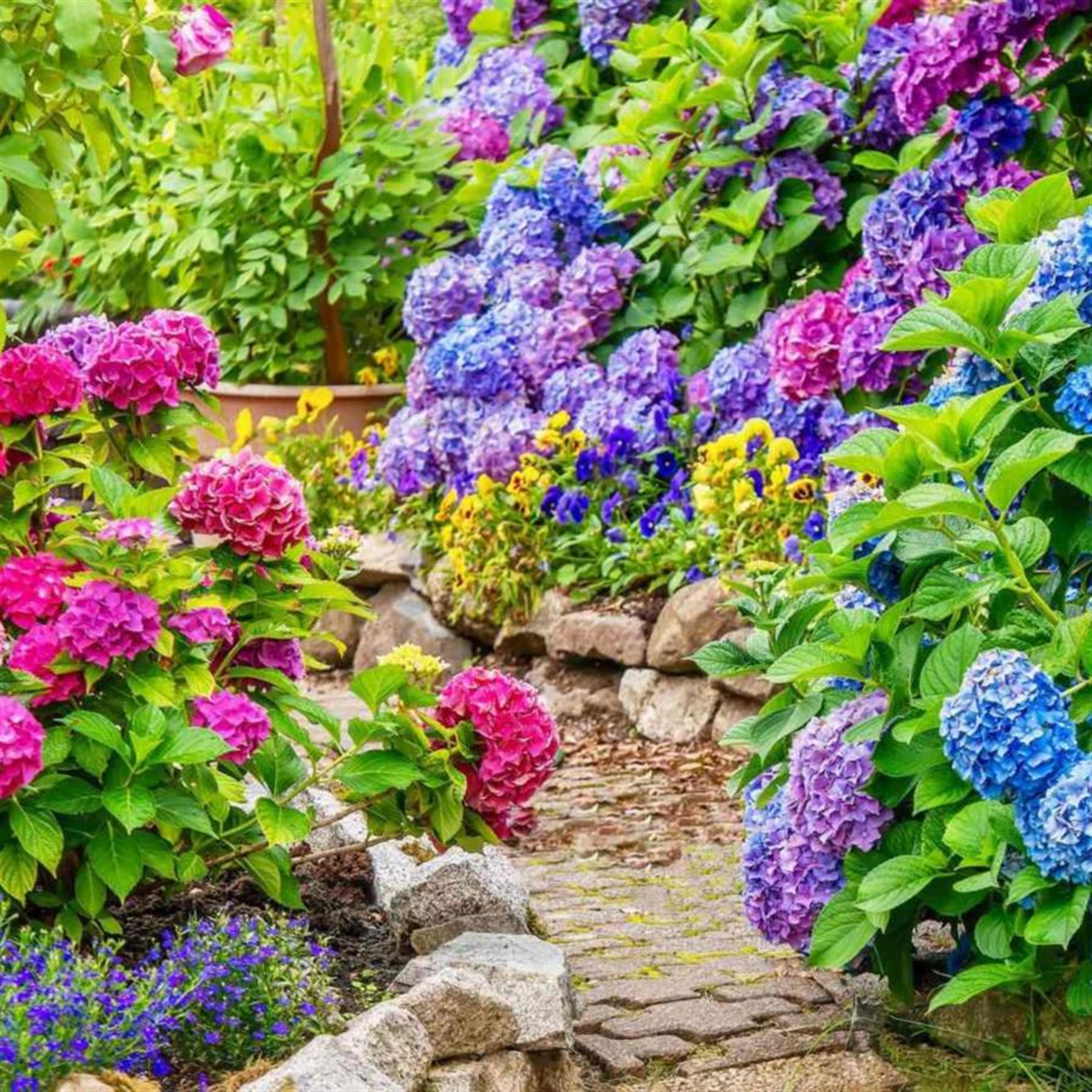 Mrs. Dorothy Jean Patterson