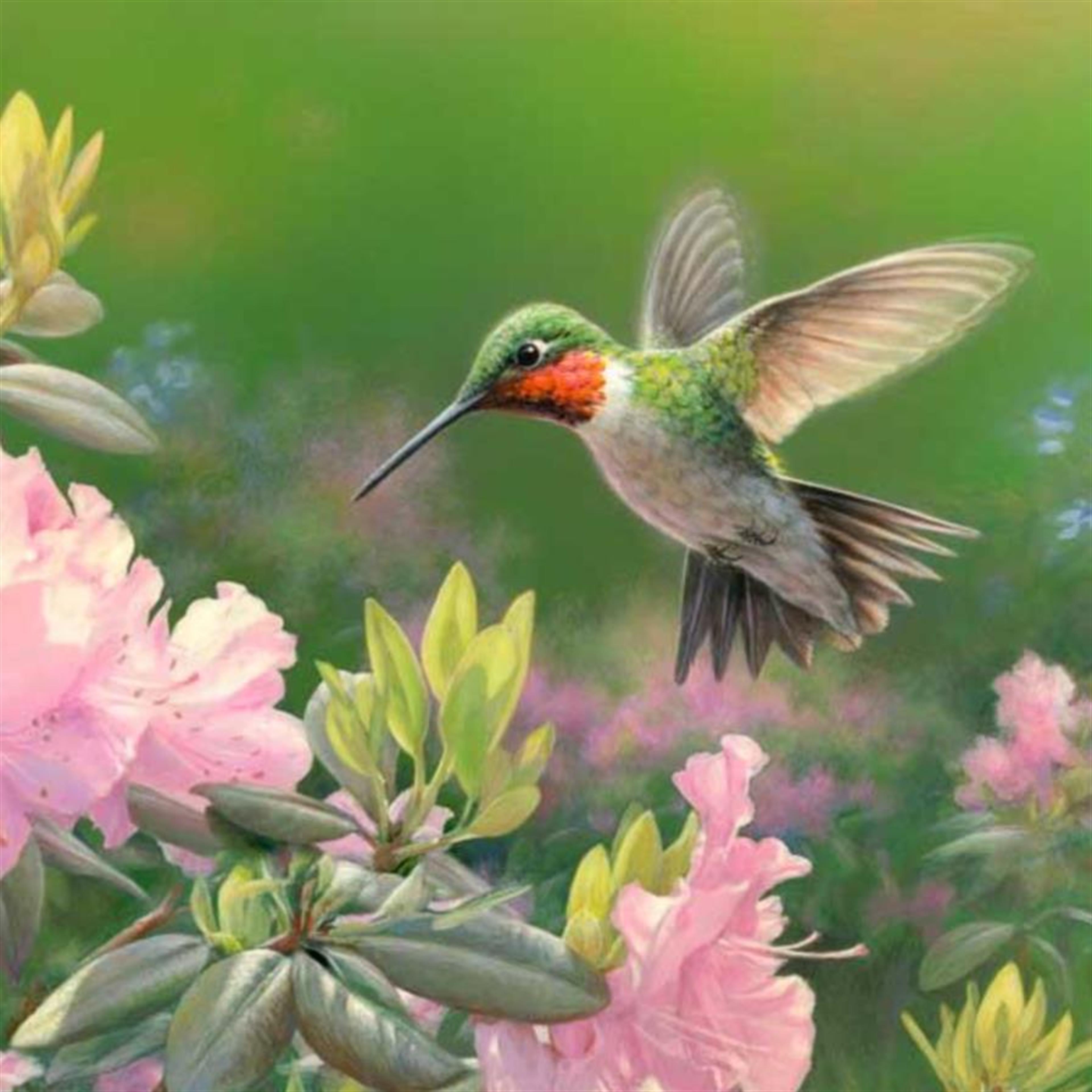 Maria "ReRe" Sharpe Lewis' obituary picture