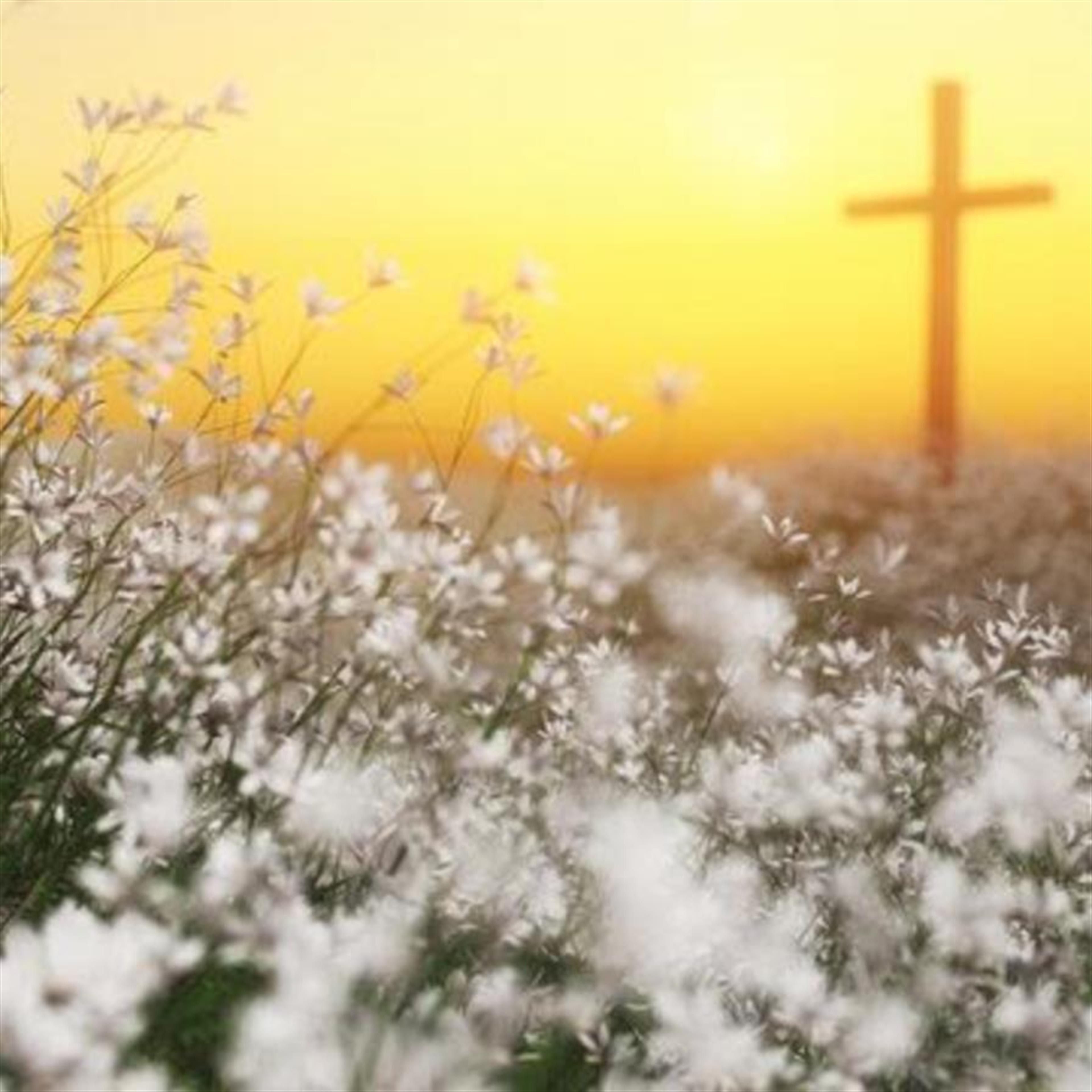 Mrs. Sandra F. Horton