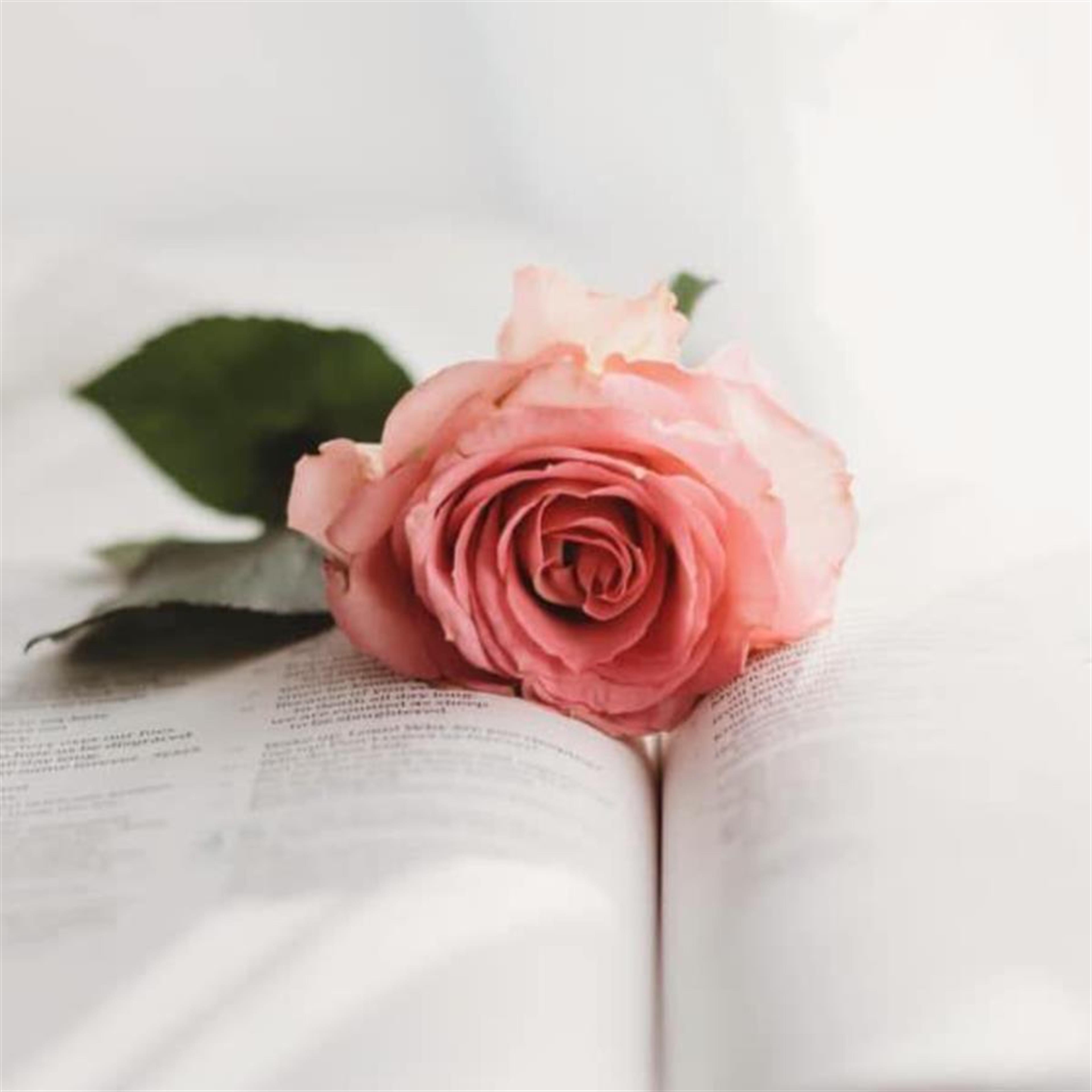 Mrs Joan Nivens Morgan