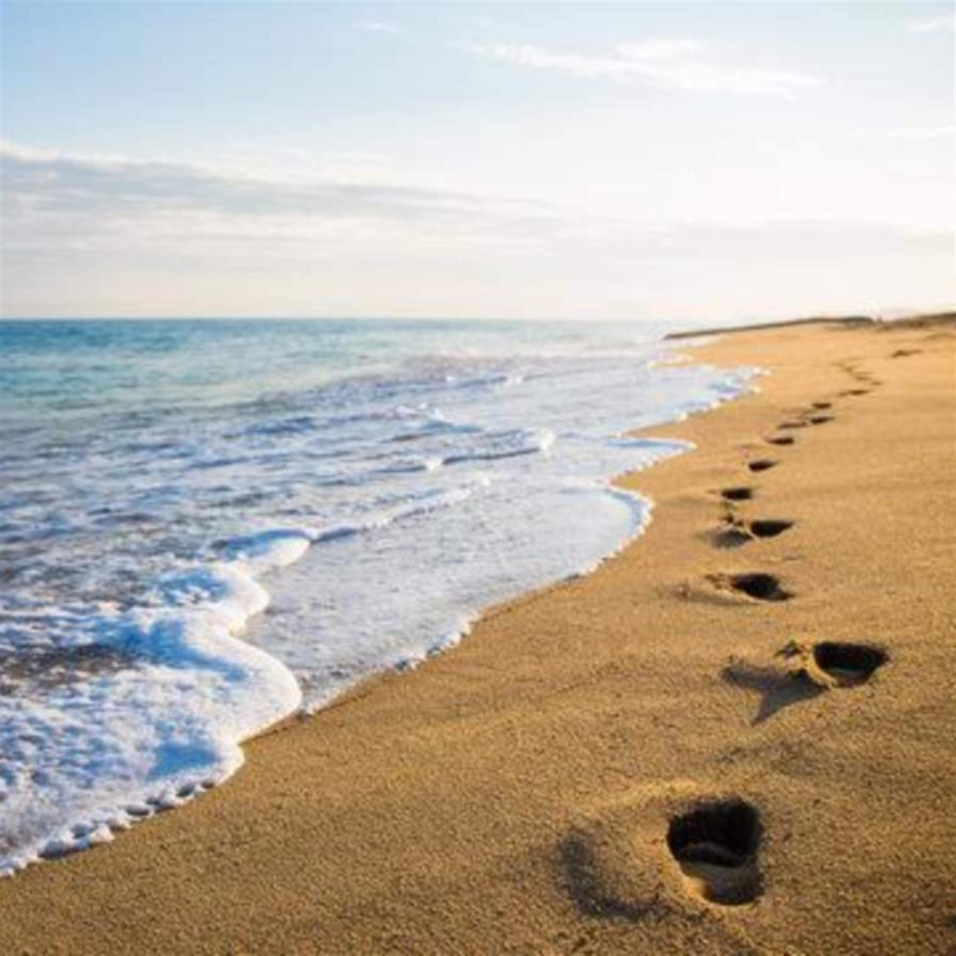 Mrs. Carolyn June Janney