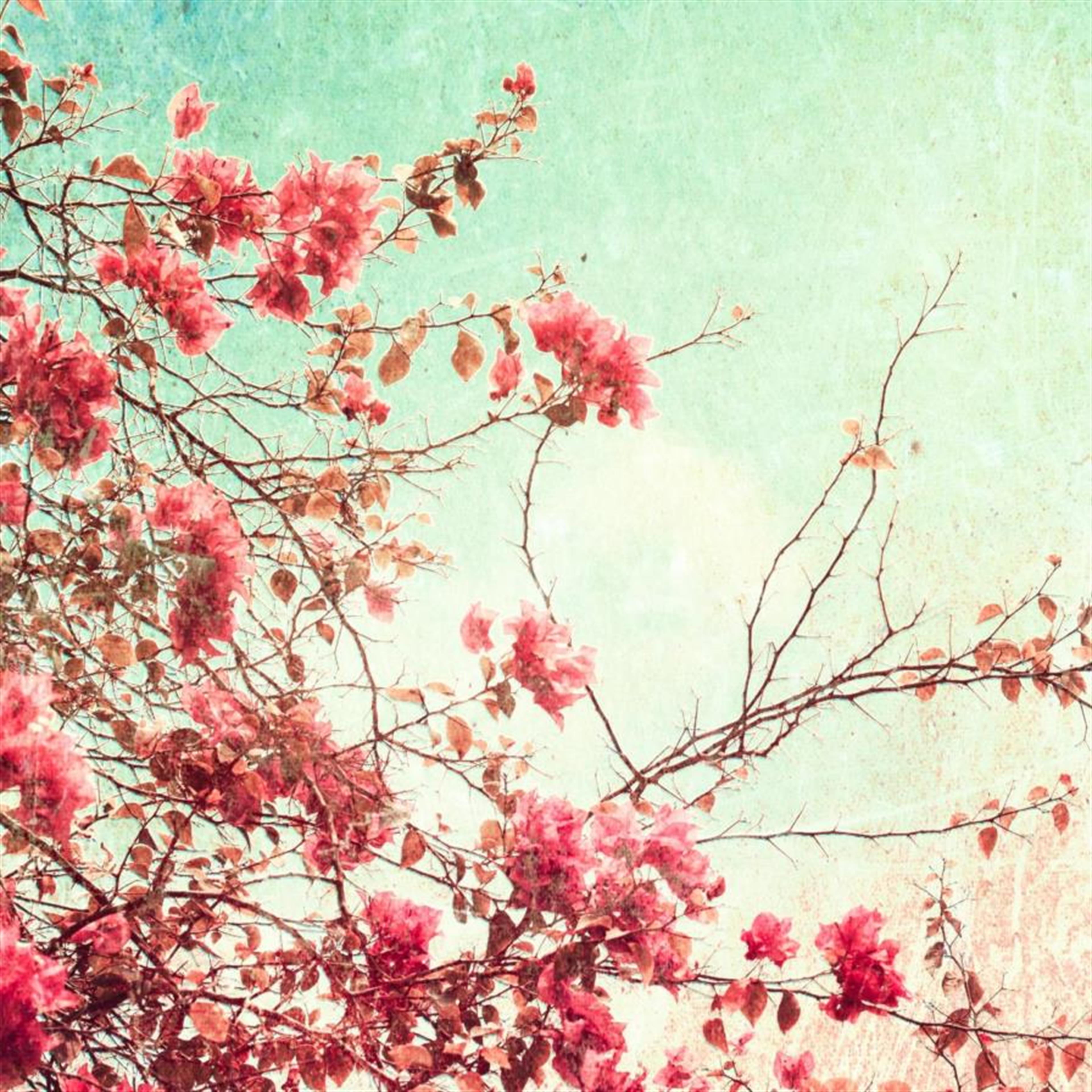 Barbara Ellen Venables' obituary picture