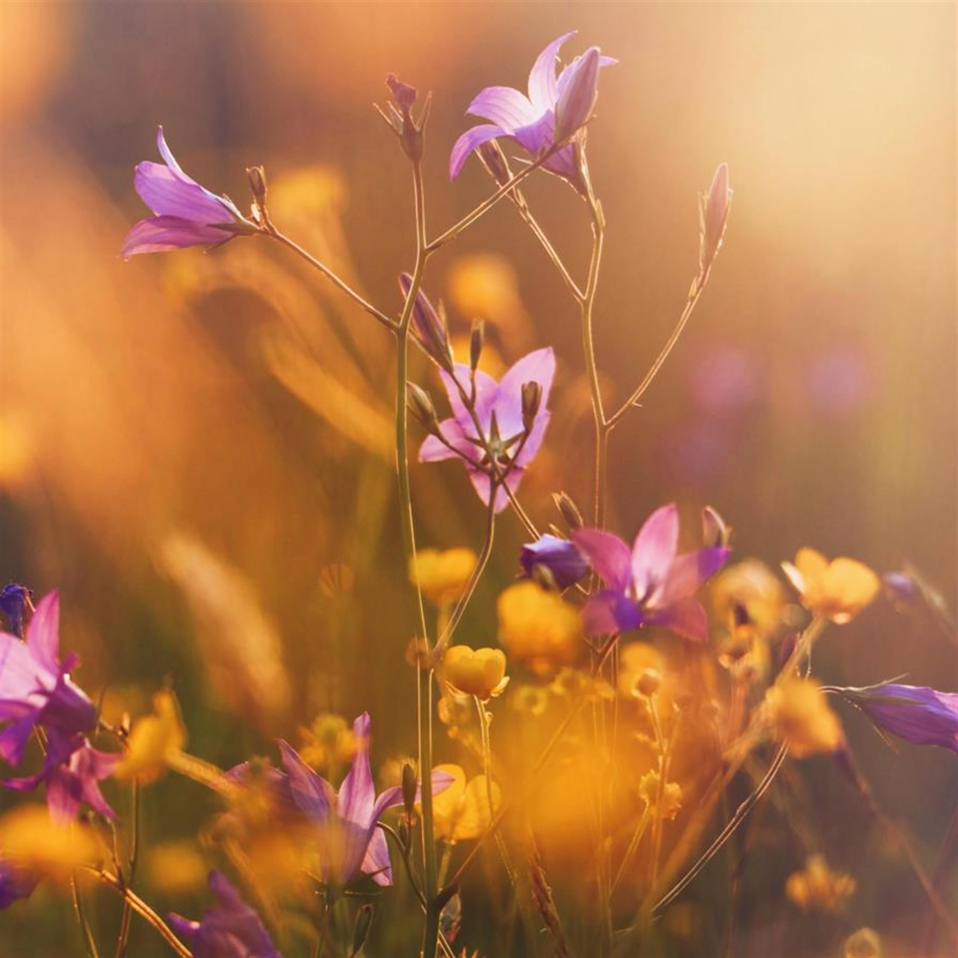 Wesslae "Tootsie" Wetherington's obituary picture