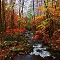 Rolland "Ron" R. Myers