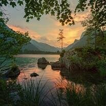Terry Allan Scott