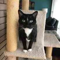 Tatianna (Tots) Brodick