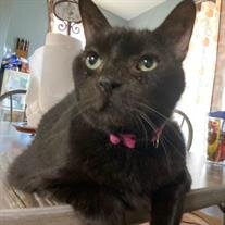 Luna Jinx Jones
