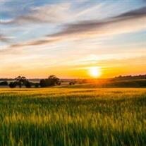 Albert Bradshaw Hampton