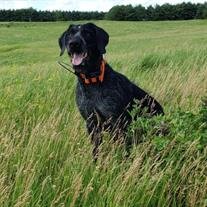 Ruger Feldt
