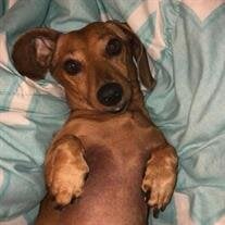 Zoey Slack