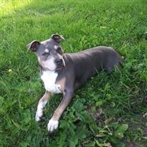 Daisy Mea Bishop