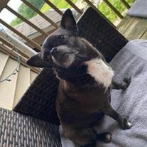Ellie Mae Hennings
