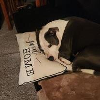 Luna Lovell